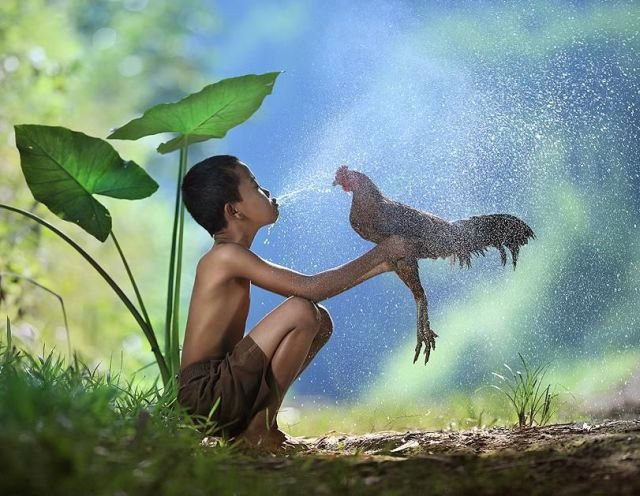 Подборка картинок. Вечерний выпуск - 09.02.2026