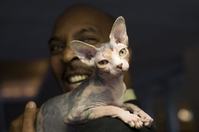 Подборка картинок. Вечерний выпуск - 09.02.2026