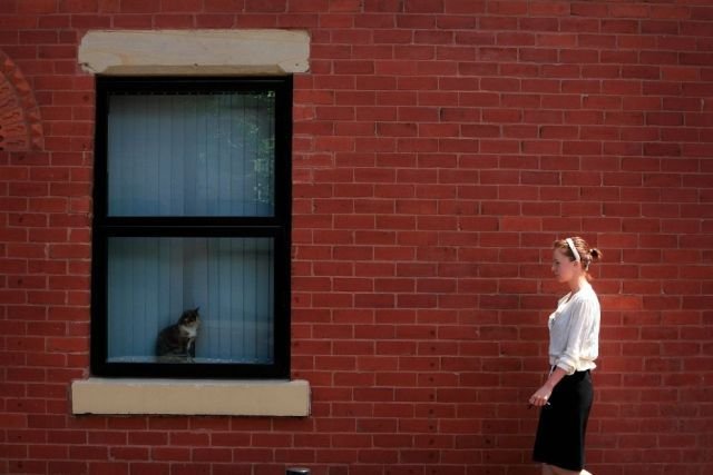 Подборка картинок. Вечерний выпуск - 09.02.2026