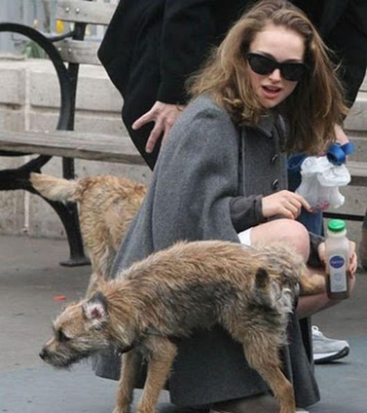 Подборка картинок. Вечерний выпуск - 09.02.2026