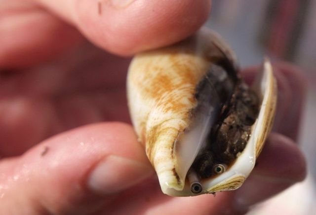 Подборка картинок. Вечерний выпуск - 09.02.2026