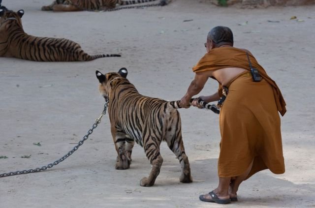 Подборка картинок. Вечерний выпуск - 09.02.2026