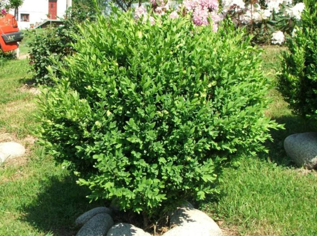 Необычная подработка