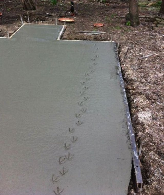 Неприятности случаются