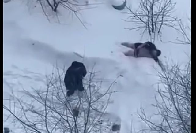 неадекваты омск