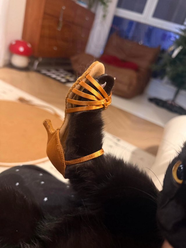 Что вы знали о стиле