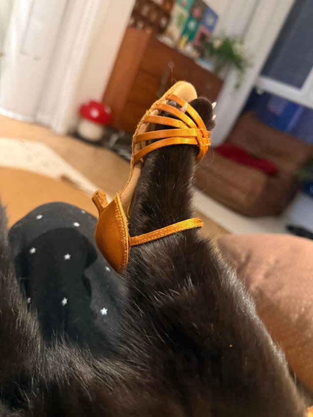 Что вы знали о стиле