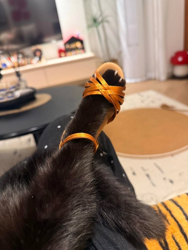 Что вы знали о стиле