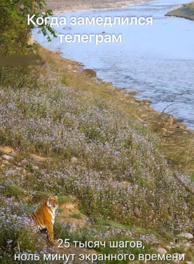 Подборка мемов