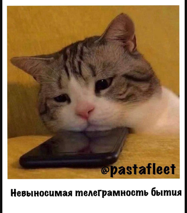 Подборка мемов