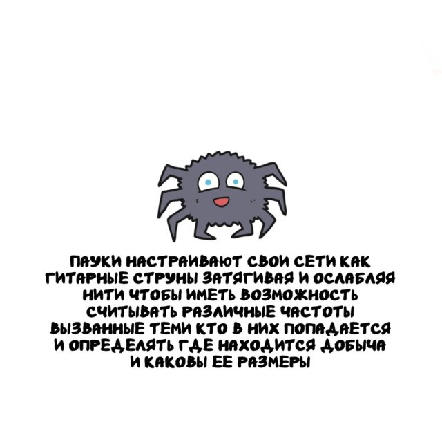 Интересные факты на все случаи жизни