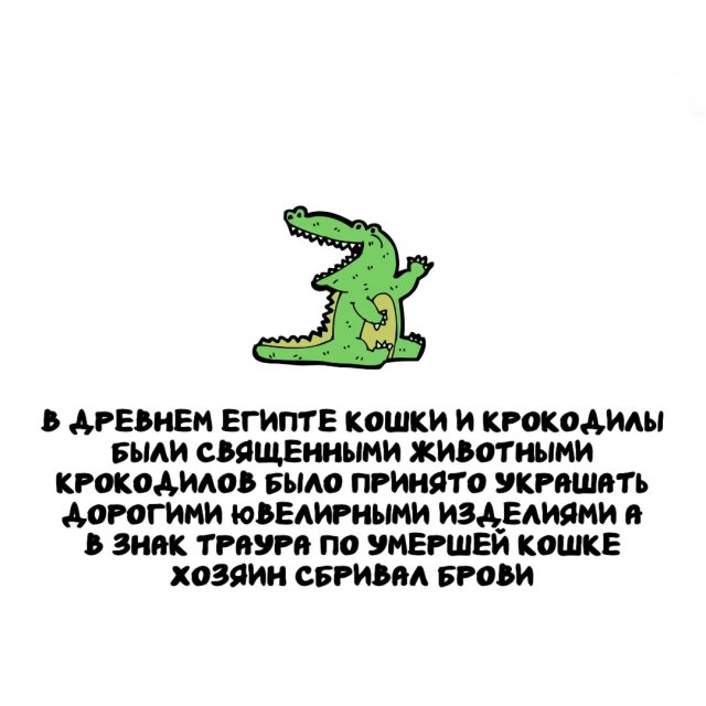 Интересные факты на все случаи жизни