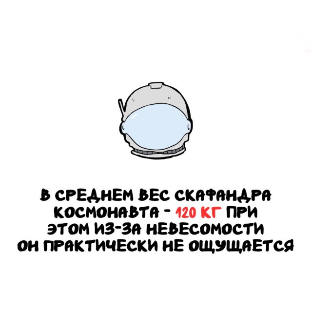 Интересные факты на все случаи жизни