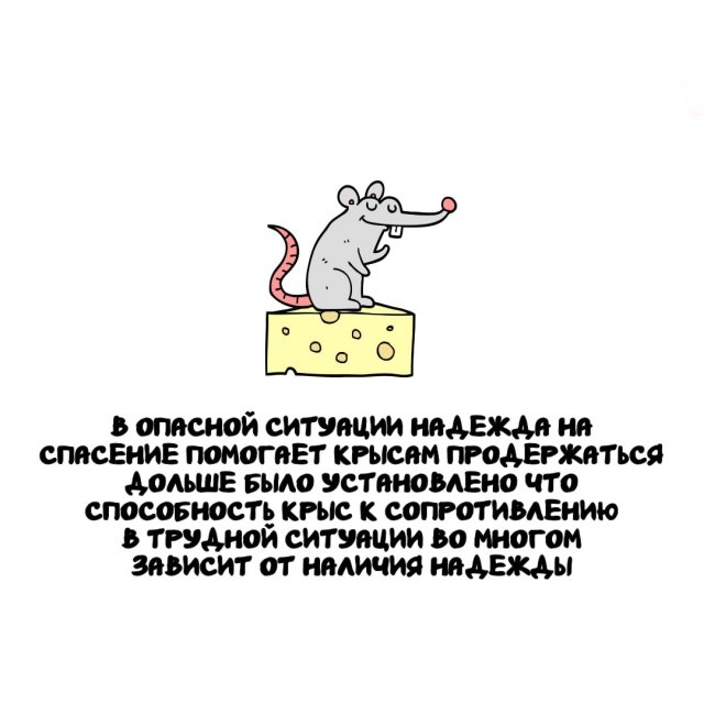 Интересные факты на все случаи жизни