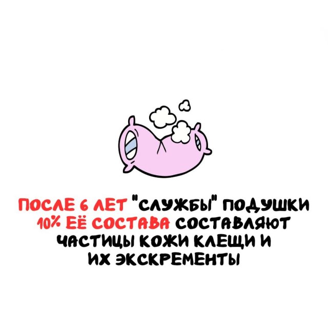 Интересные факты на все случаи жизни