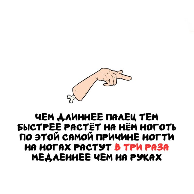 Интересные факты на все случаи жизни