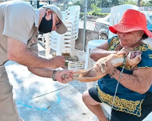 Милота и позитив: подборка забавных животных Милота и позитив: подборка забавных животных