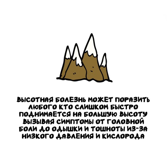 Интересные факты на все случаи жизни