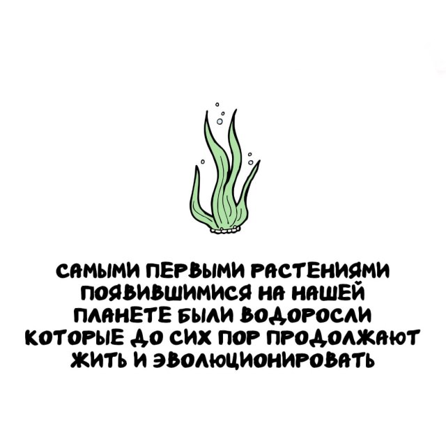 Интересные факты на все случаи жизни