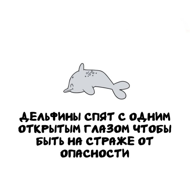 Интересные факты на все случаи жизни