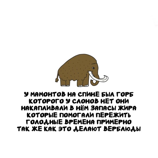 Интересные факты на все случаи жизни