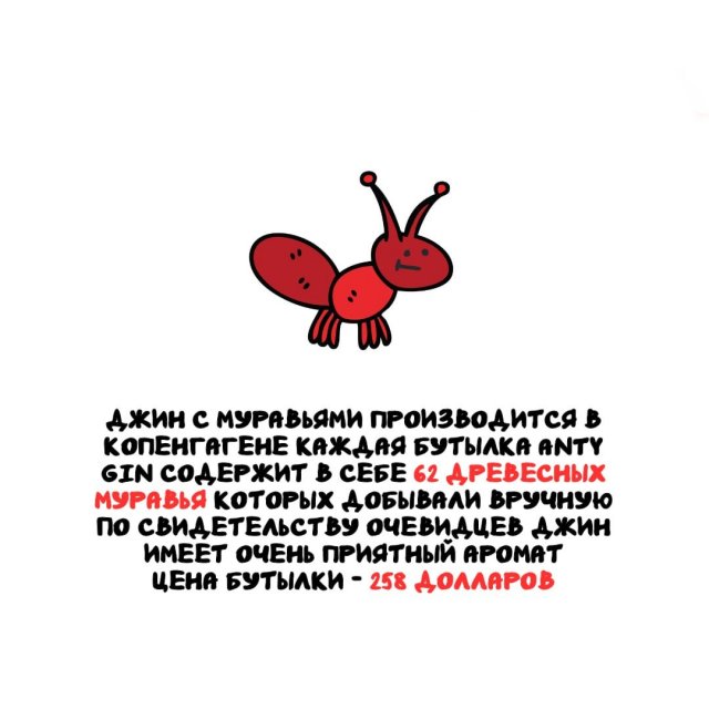 Интересные факты на все случаи жизни