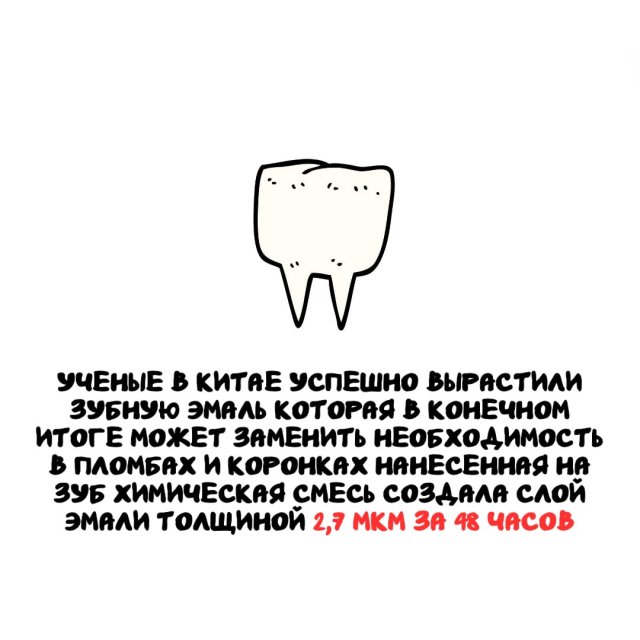 Интересные факты на все случаи жизни