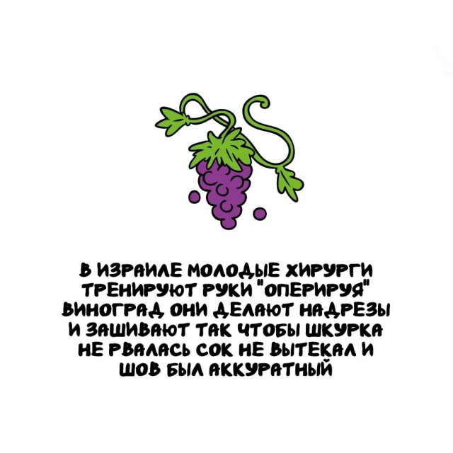 Интересные факты на все случаи жизни