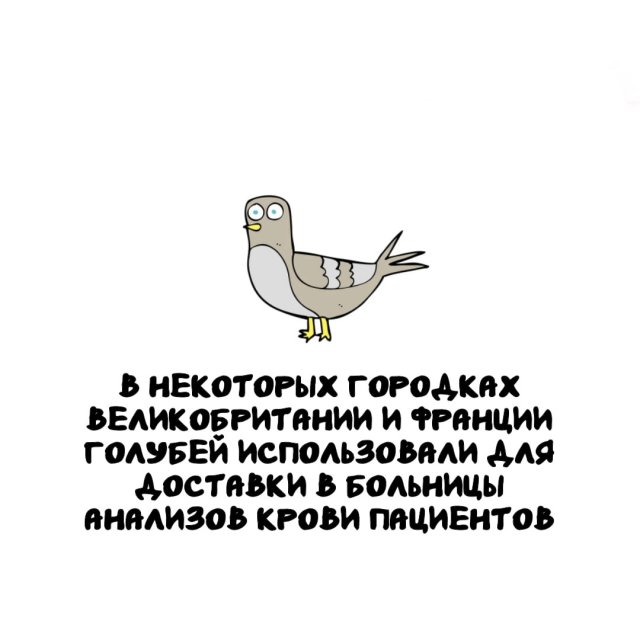 Интересные факты на все случаи жизни