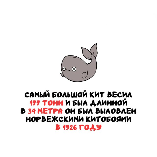 Интересные факты на все случаи жизни