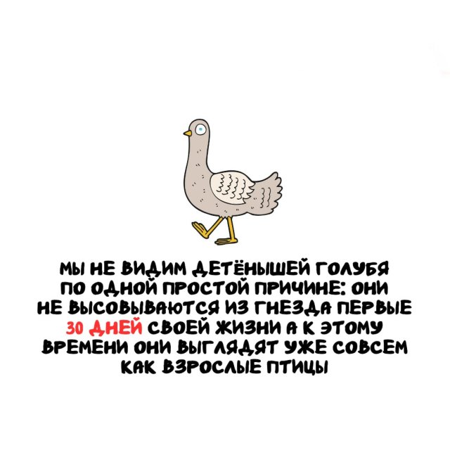 Интересные факты на все случаи жизни