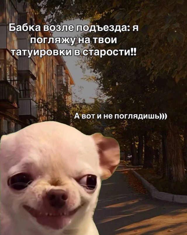 Лучшие шутки и мемы из Сети - 12.02.2026