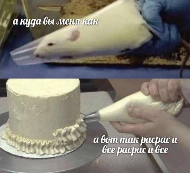 Лучшие шутки и мемы из Сети - 12.02.2026