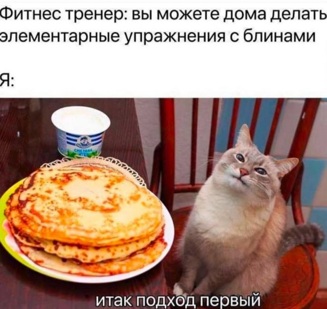 Лучшие шутки и мемы из Сети - 12.02.2026