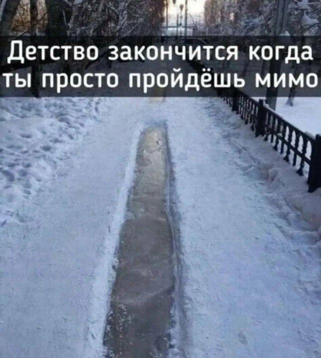 Лучшие шутки и мемы из Сети - 12.02.2026