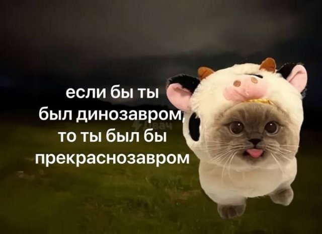 Лучшие шутки и мемы из Сети - 12.02.2026