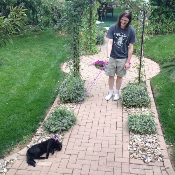 Подборка картинок. Вечерний выпуск - 12.02.2026