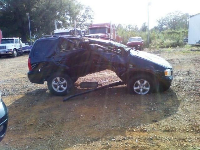 Подборка картинок. Вечерний выпуск - 12.02.2026