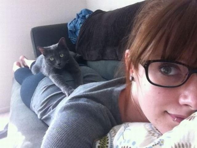 Подборка картинок. Вечерний выпуск - 12.02.2026