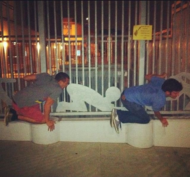 Подборка картинок. Вечерний выпуск - 12.02.2026