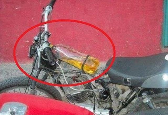 Подборка картинок. Вечерний выпуск - 12.02.2026