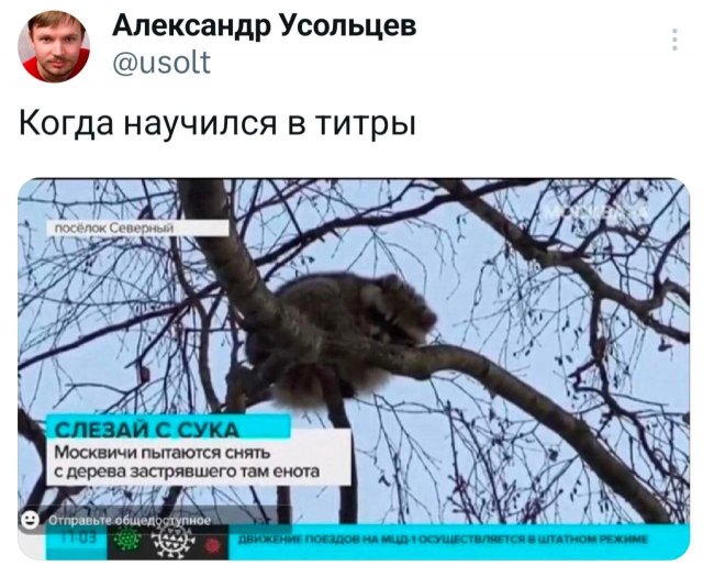 Подборка забавных твитов обо всем