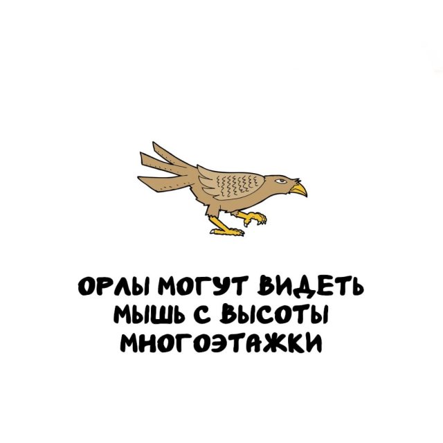 Интересные факты на все случаи жизни