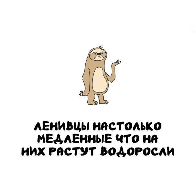 Интересные факты на все случаи жизни