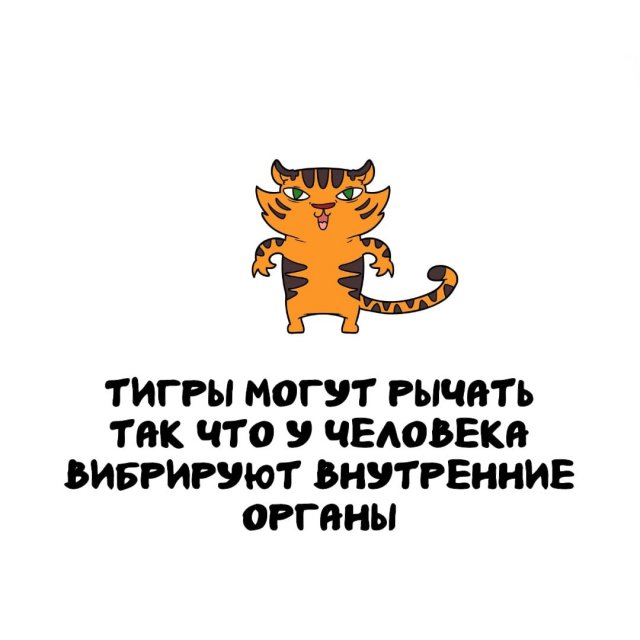 Интересные факты на все случаи жизни