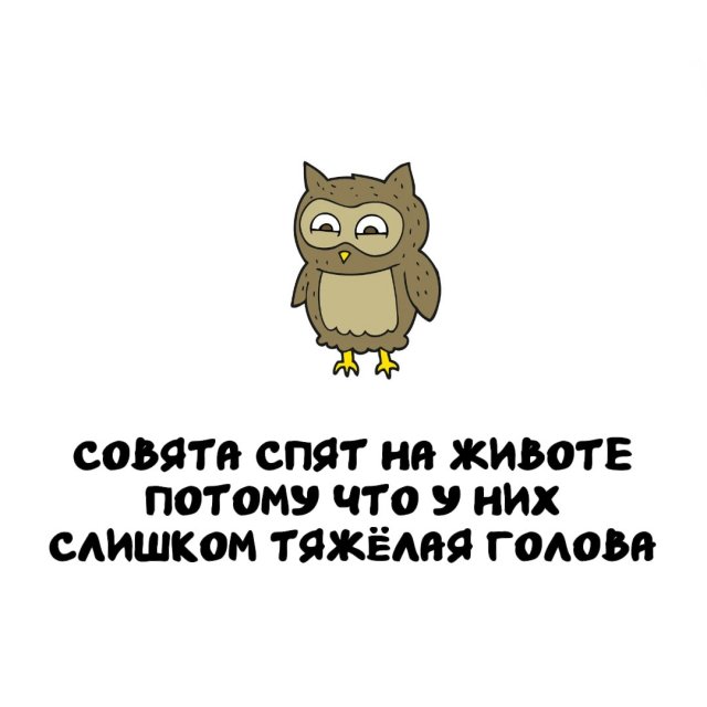 Интересные факты на все случаи жизни