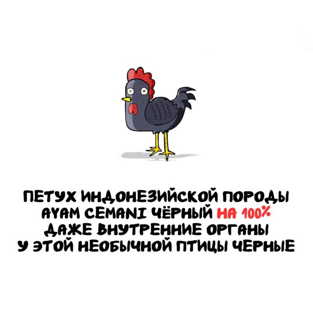 Интересные факты на все случаи жизни