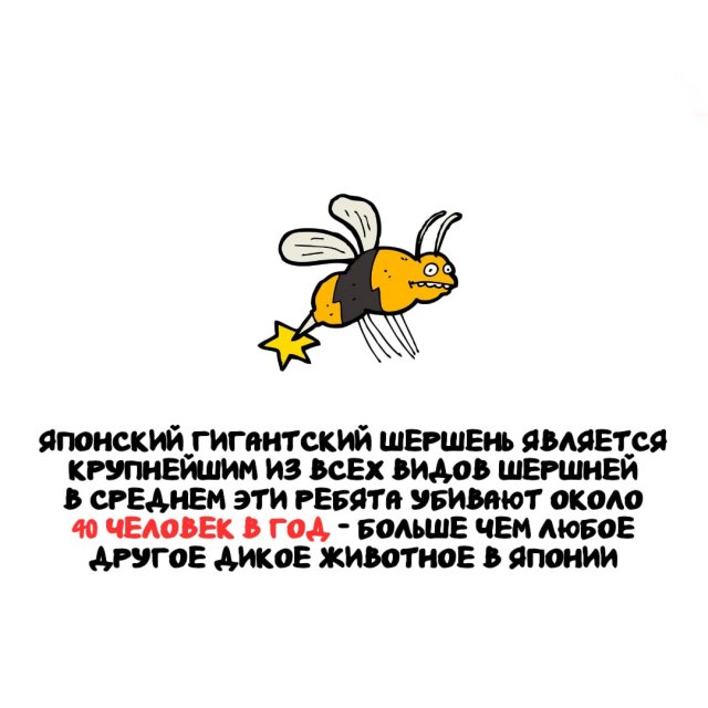 Интересные факты на все случаи жизни