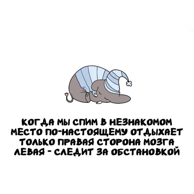 Интересные факты на все случаи жизни