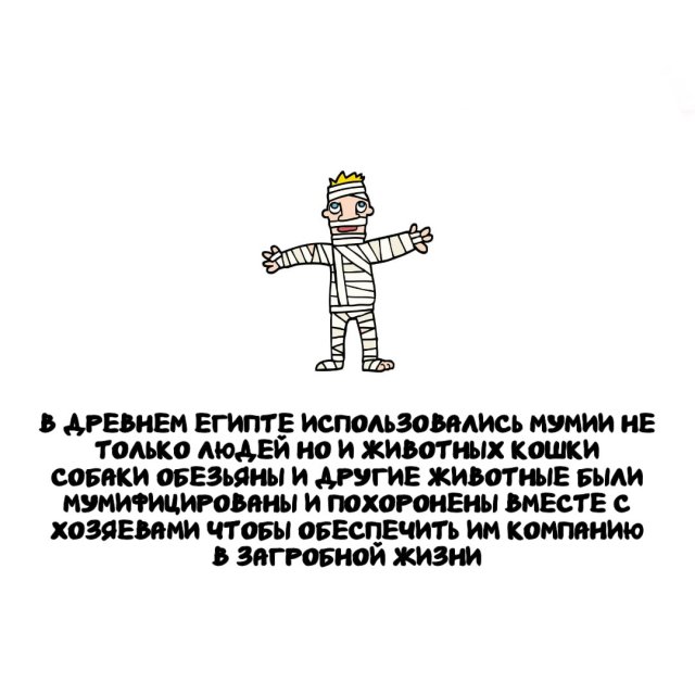 Интересные факты на все случаи жизни